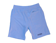 Load image into Gallery viewer, Sky Blue Right Idea Wrong Mothafucka Shorts
